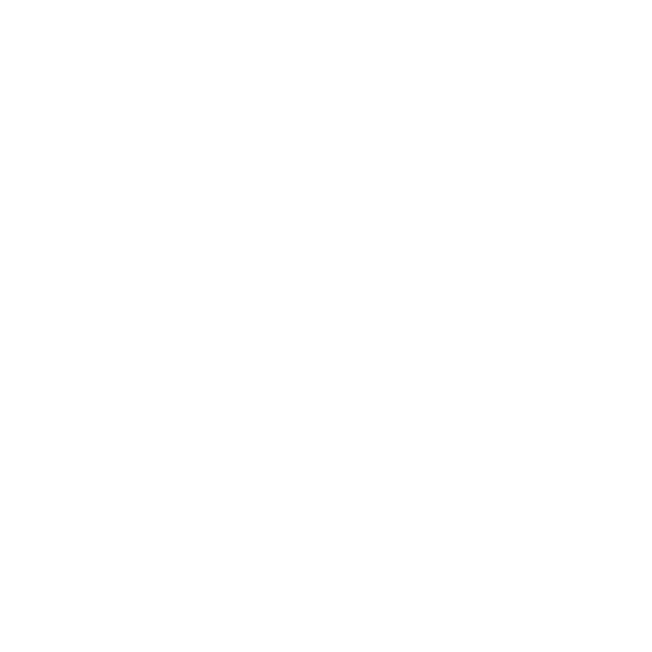 EFFEBI S.p.A.